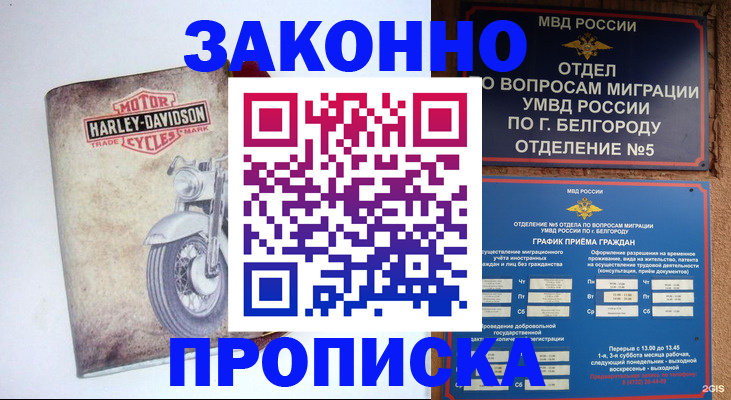 прописка для школы в Звенигороде